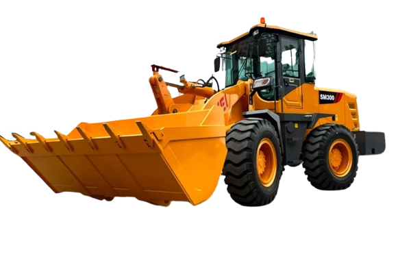 Rongwei SM300